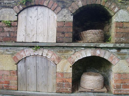 These Bee-boles are part of a large wall with 15 vaulted chambers to house bees - the forerunner of modern beehives - bees were very important to gardens as they pollinated the plants and supplied honey and wax. 